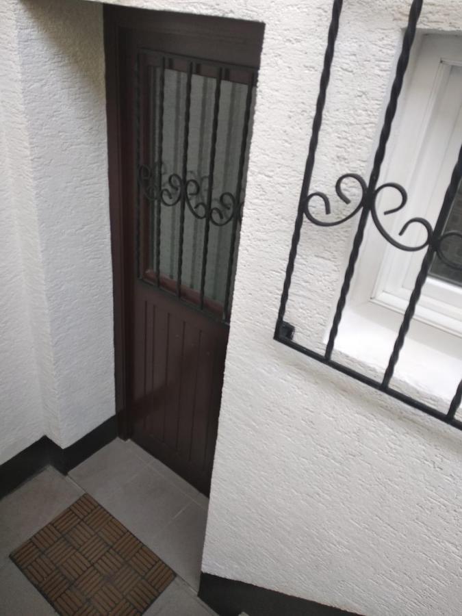 Gemuetliche Ferienwohnung Mit Kamin Und Sauna! Nistertal Bagian luar foto