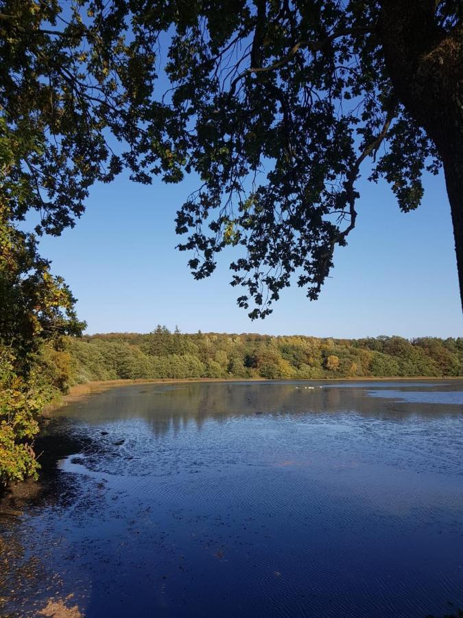 Gemuetliche Ferienwohnung Mit Kamin Und Sauna! Nistertal Bagian luar foto