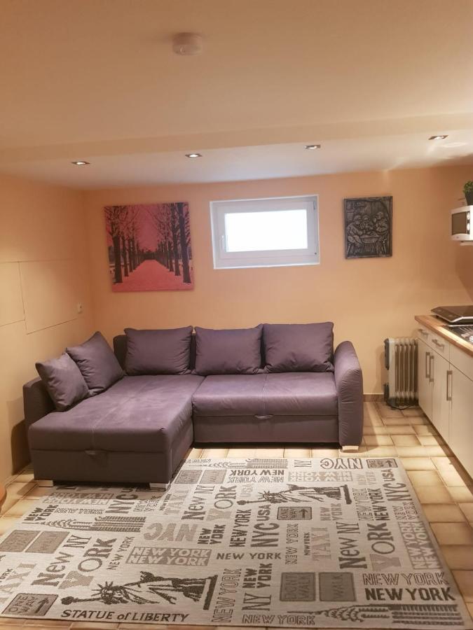 Gemuetliche Ferienwohnung Mit Kamin Und Sauna! Nistertal Bagian luar foto