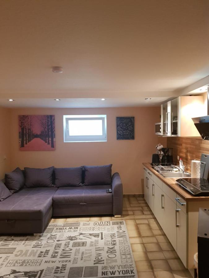 Gemuetliche Ferienwohnung Mit Kamin Und Sauna! Nistertal Bagian luar foto