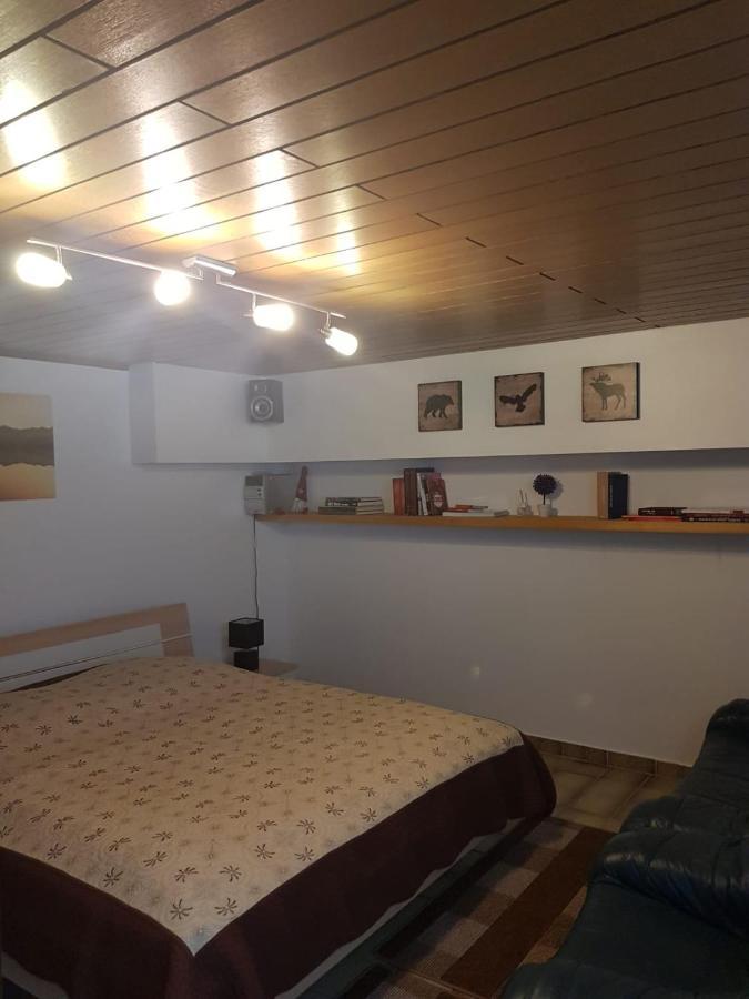 Gemuetliche Ferienwohnung Mit Kamin Und Sauna! Nistertal Bagian luar foto